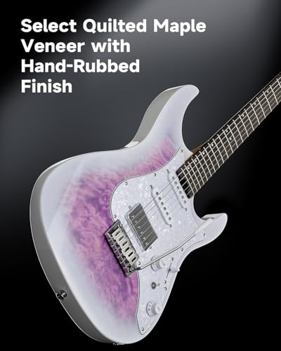 Electric Guitar with Poplar Body, Laurel Fretboard, Tremolo Bridge V5893