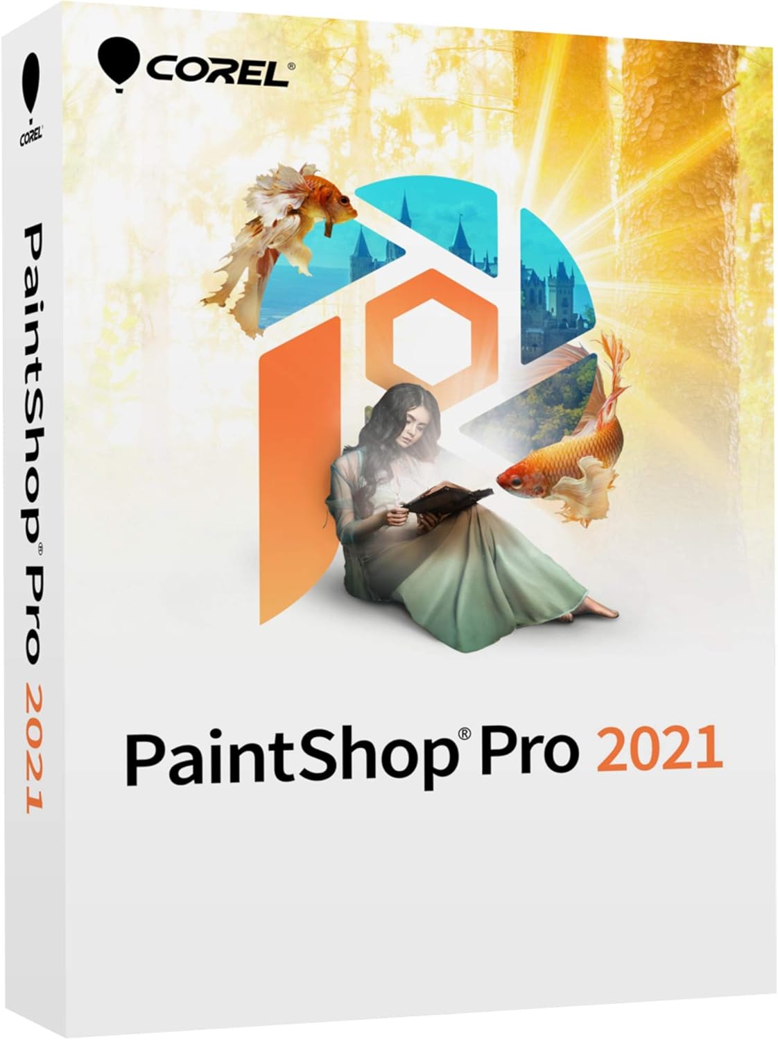 Corel PaintShop Pro 2021 | Photo Editing & Graphic Design Software | AI Powered Features [PC Disc] [Old Version] Pack of 2