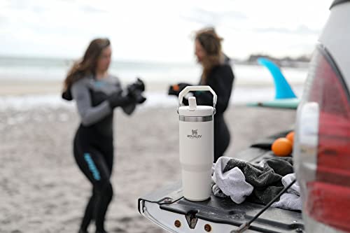 Stainless Steel Tumbler with Straw, Vacuum Insulated Water Bottle T393