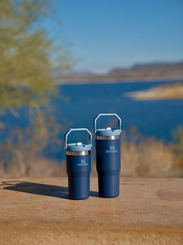 Stainless Steel Tumbler with Straw, Vacuum Insulated Water Bottle T393