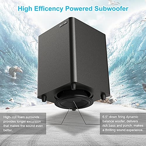 Powered Subwoofer with Deep Bass, Easy Setup for Home Theater H40915