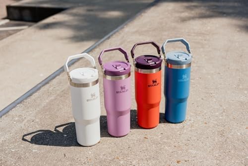 Stainless Steel Tumbler with Straw, Vacuum Insulated Water Bottle T393