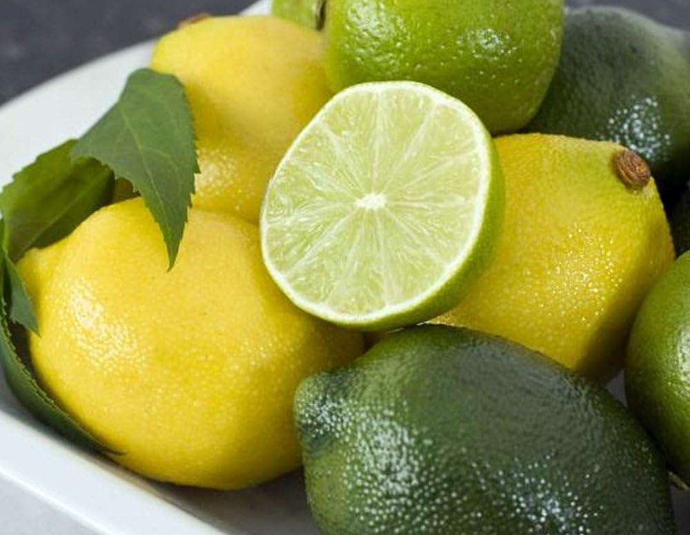 Meyer Lemon / Key Lime Cocktail Tree - 8" Pot Z430466