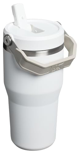 Stainless Steel Tumbler with Straw, Vacuum Insulated Water Bottle T393