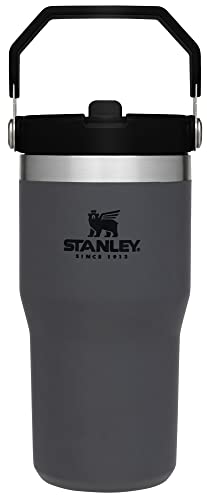 Stainless Steel Tumbler with Straw, Vacuum Insulated Water Bottle T393