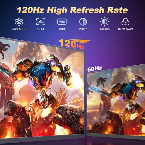 Portable Monitor 18.5 Inch 120Hz FHD IPS for Laptop Gaming Z793