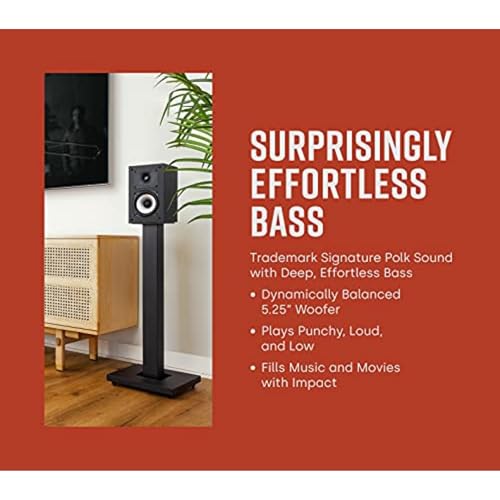 10" Home Subwoofer with 100W Amplifier, Dolby Atmos & DTS:X Compatible P253133