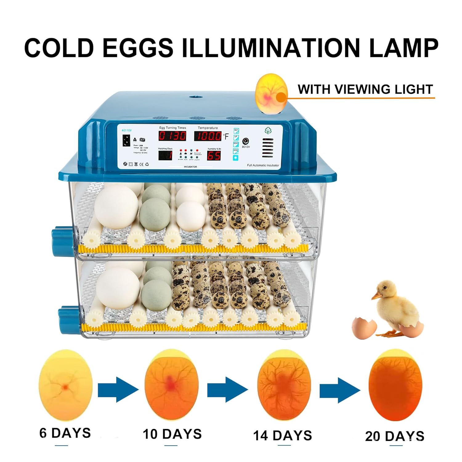 Automatic Temperature Control Egg Incubator for Hatching Chicken Quail Eggs L59461