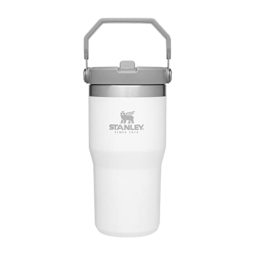 Stainless Steel Tumbler with Straw, Vacuum Insulated Water Bottle T393