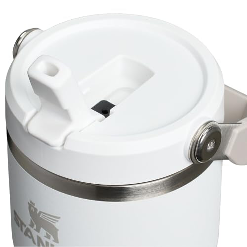 Stainless Steel Tumbler with Straw, Vacuum Insulated Water Bottle T393