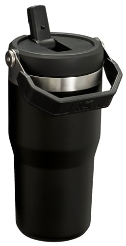 Stainless Steel Tumbler with Straw, Vacuum Insulated Water Bottle T393