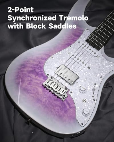 Electric Guitar with Poplar Body, Laurel Fretboard, Tremolo Bridge V5893