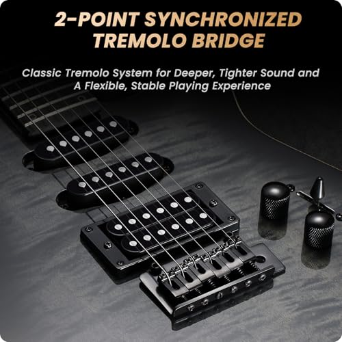 Solid Body Electric Guitar Kit with 24 Frets, HSS Pickup, Black R4019