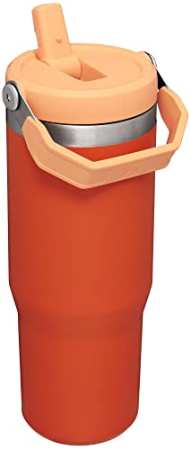 Stainless Steel Tumbler with Straw, Vacuum Insulated Water Bottle T393