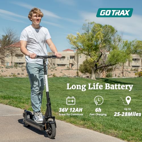 Electric Scooter for Adults, 500W Motor, 10" Solid Tire, 28-42 Miles Range, 20Mph, Foldable Commuting J520