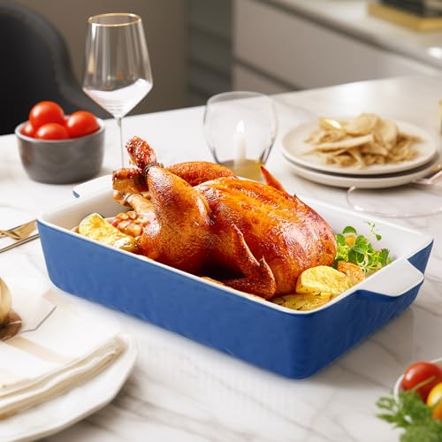 Ceramic Baking Dish with Handles, 9x13 Oven Casserole Pan Q16283