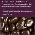 Dark Chocolate Covered Pecans - 3 Lb Tub