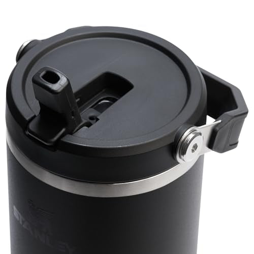 Stainless Steel Tumbler with Straw, Vacuum Insulated Water Bottle T393