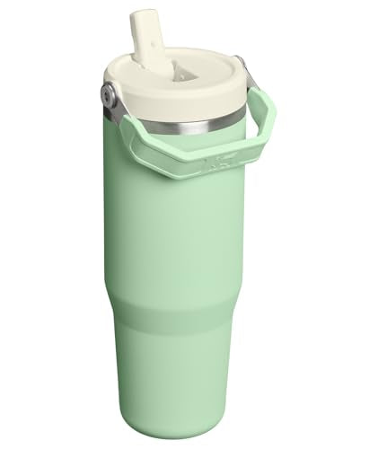 Stainless Steel Tumbler with Straw, Vacuum Insulated Water Bottle T393
