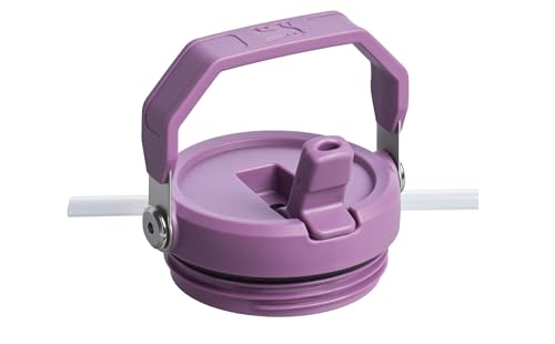 Stainless Steel Tumbler with Straw, Vacuum Insulated Water Bottle T393