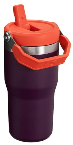 Stainless Steel Tumbler with Straw, Vacuum Insulated Water Bottle T393