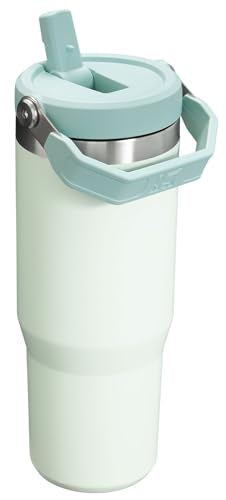 Stainless Steel Tumbler with Straw, Vacuum Insulated Water Bottle T393