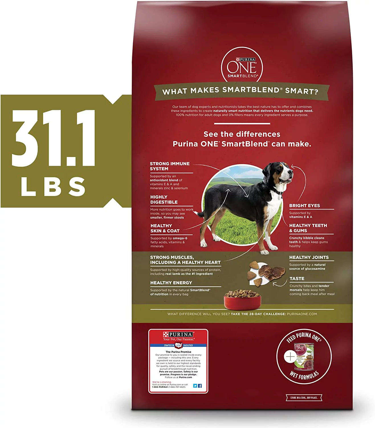 Adult Lamb & Rice Dry Dog Food R5120