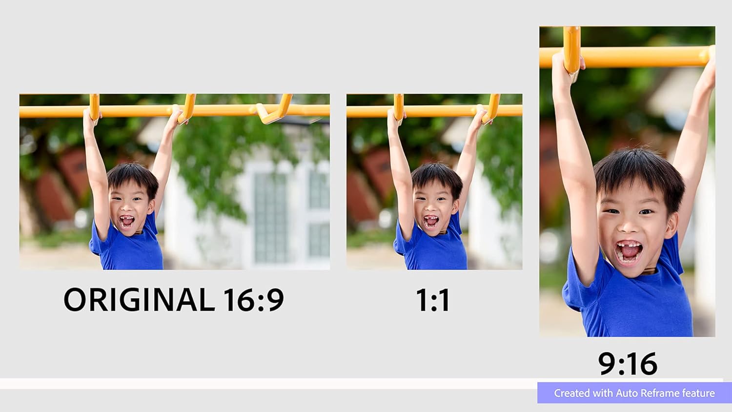 Photoshop Elements 2022 & Premiere Elements 2022 PC Software Download B403