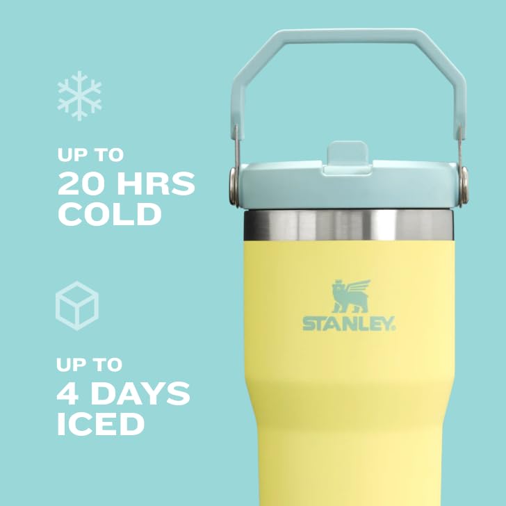 Stainless Steel Tumbler with Straw, Vacuum Insulated Water Bottle T393