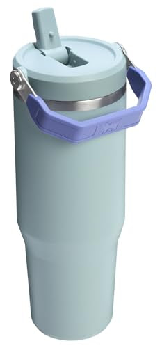 Stainless Steel Tumbler with Straw, Vacuum Insulated Water Bottle T393