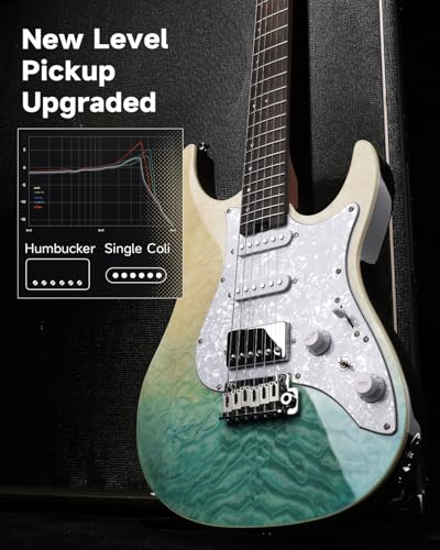 Electric Guitar with Poplar Body, Laurel Fretboard, Tremolo Bridge V5893