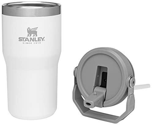 Stainless Steel Tumbler with Straw, Vacuum Insulated Water Bottle T393