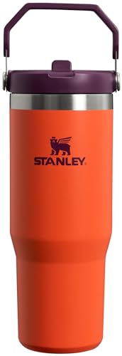Stainless Steel Tumbler with Straw, Vacuum Insulated Water Bottle T393