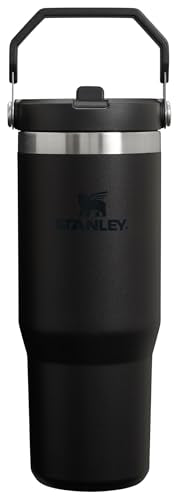 Stainless Steel Tumbler with Straw, Vacuum Insulated Water Bottle T393