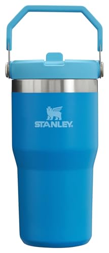 Stainless Steel Tumbler with Straw, Vacuum Insulated Water Bottle T393
