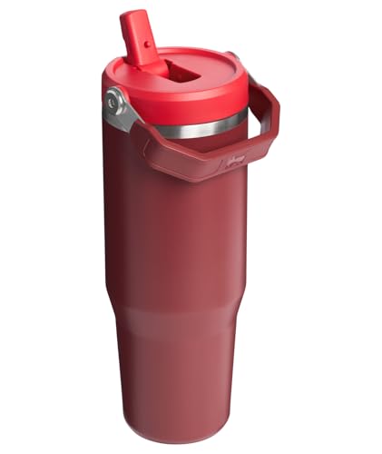 Stainless Steel Tumbler with Straw, Vacuum Insulated Water Bottle T393