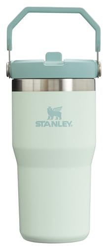 Stainless Steel Tumbler with Straw, Vacuum Insulated Water Bottle T393