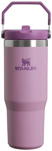 Stainless Steel Tumbler with Straw, Vacuum Insulated Water Bottle T393