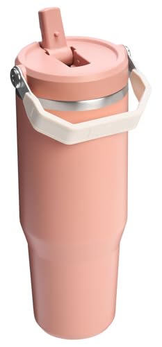 Stainless Steel Tumbler with Straw, Vacuum Insulated Water Bottle T393