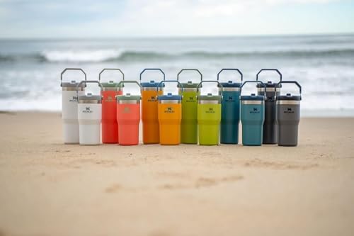 Stainless Steel Tumbler with Straw, Vacuum Insulated Water Bottle T393