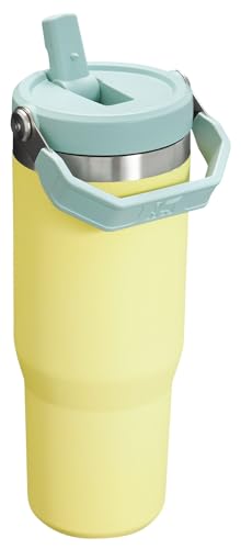 Stainless Steel Tumbler with Straw, Vacuum Insulated Water Bottle T393