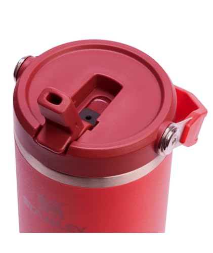 Stainless Steel Tumbler with Straw, Vacuum Insulated Water Bottle T393