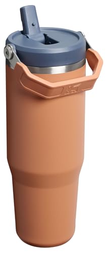 Stainless Steel Tumbler with Straw, Vacuum Insulated Water Bottle T393