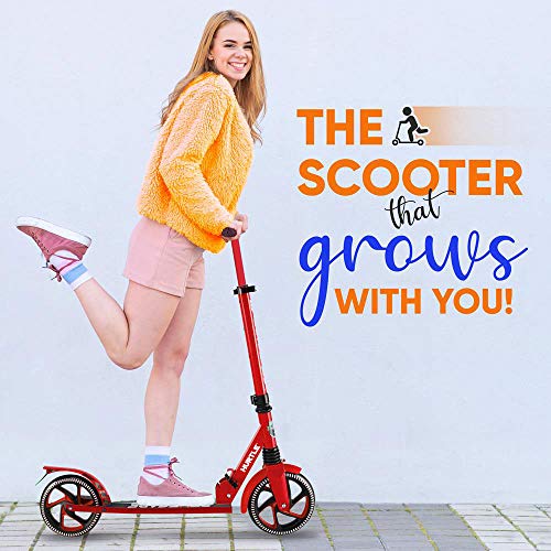Electric Scooter 350W Motor 30 Mile Range 16 Mph N3825