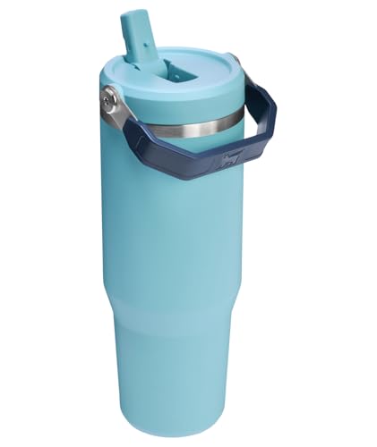Stainless Steel Tumbler with Straw, Vacuum Insulated Water Bottle T393