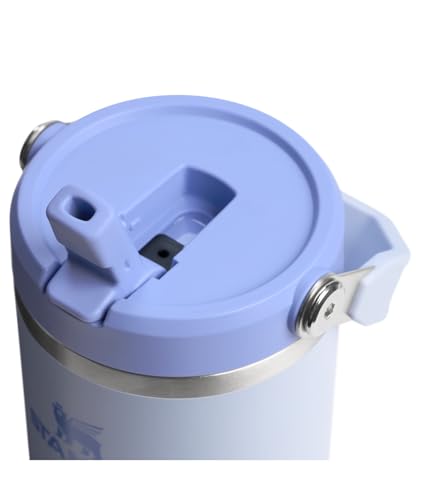 Stainless Steel Tumbler with Straw, Vacuum Insulated Water Bottle T393