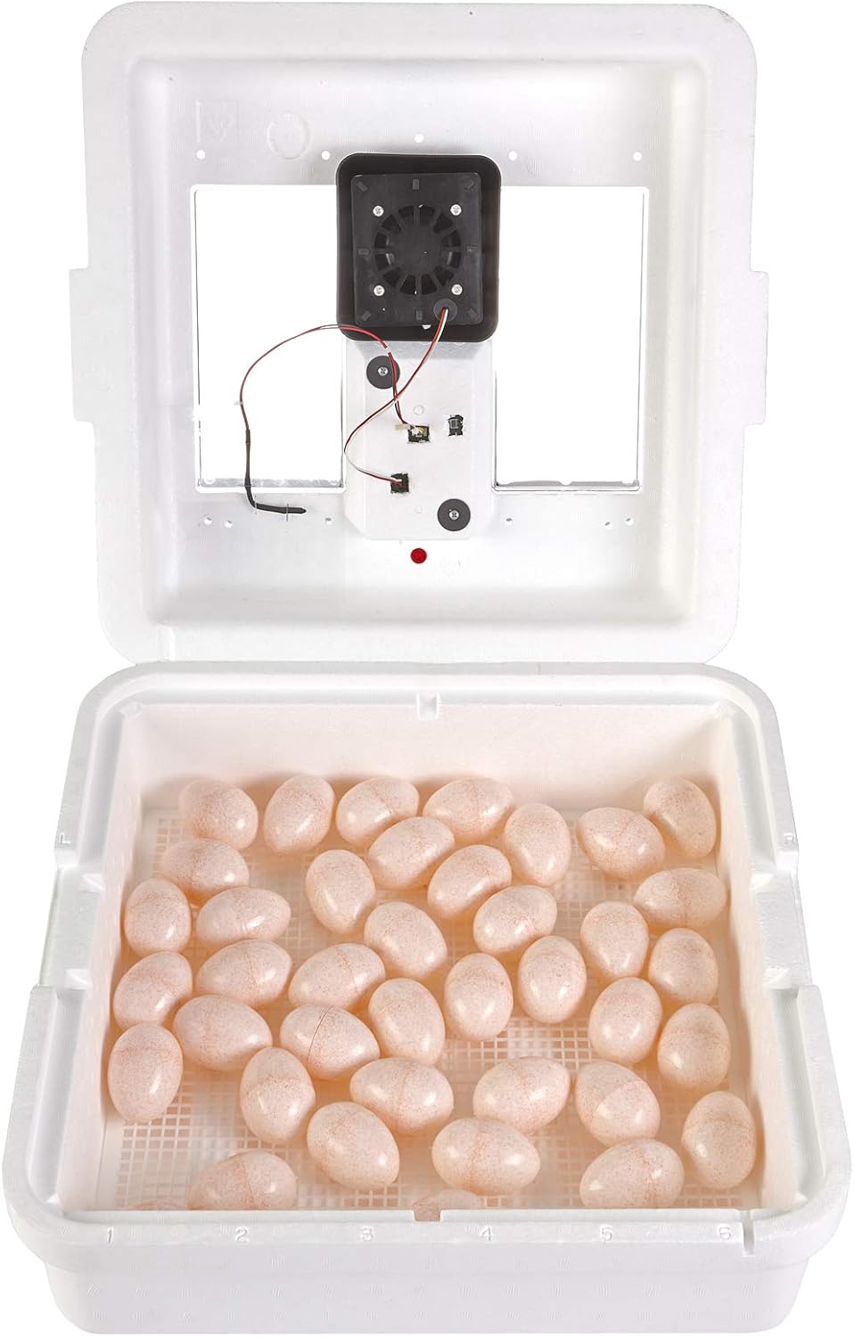 Digital Still Air Incubator for 41 Eggs with Temperature and Humidity Control O444889