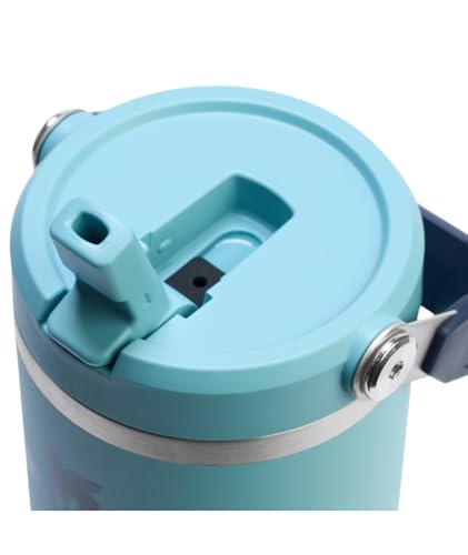Stainless Steel Tumbler with Straw, Vacuum Insulated Water Bottle T393