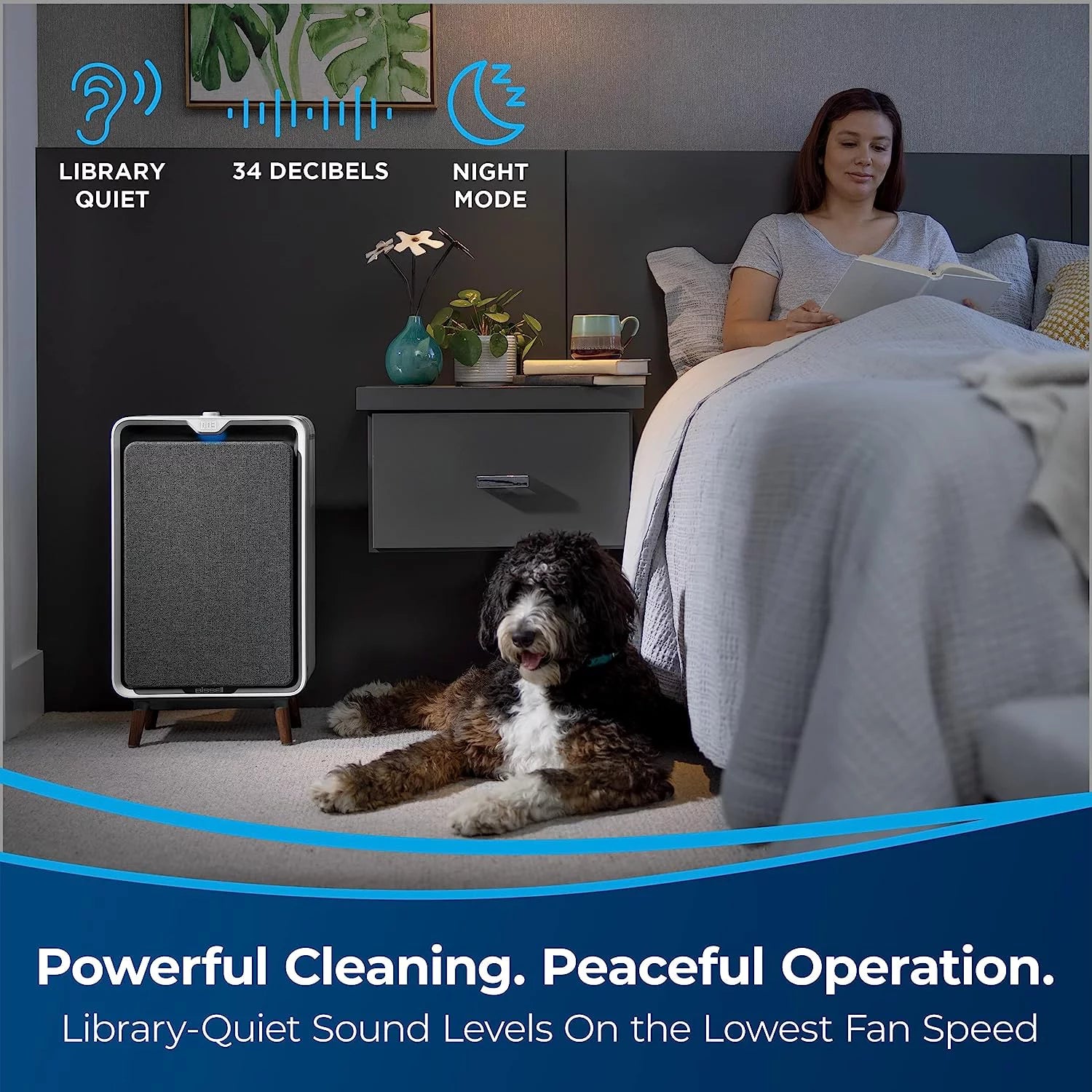Smart Air Purifier With HEPA Carbon Filters T834