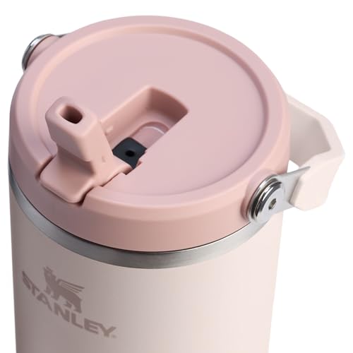 Stainless Steel Tumbler with Straw, Vacuum Insulated Water Bottle T393
